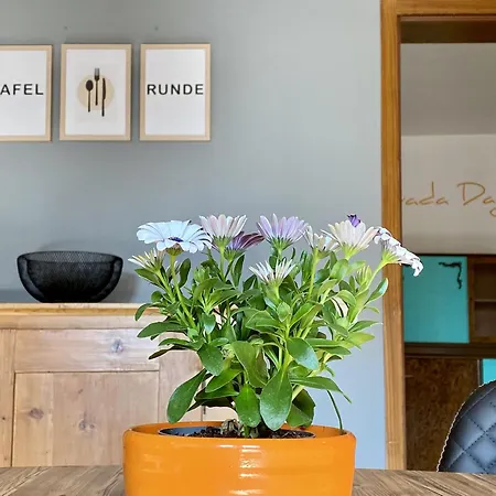 Im Eugenhaus Apartamento *